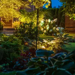 Oświetlenie ogrodu inspiracje: magiczna nocna sceneria z podświetlonymi drzewami, krzewami i kwiatami.