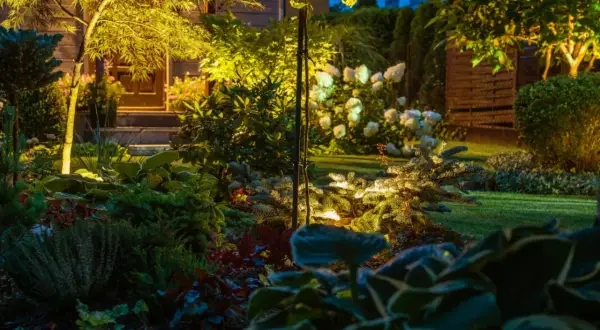 Oświetlenie ogrodu inspiracje: magiczna nocna sceneria z podświetlonymi drzewami, krzewami i kwiatami.