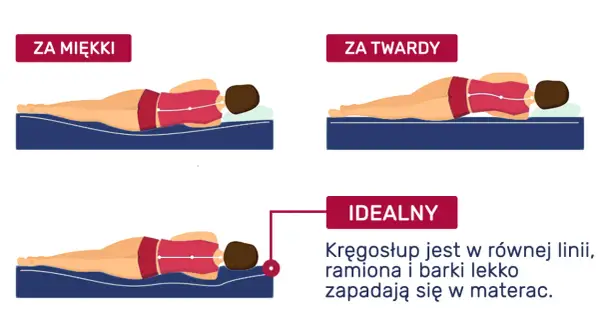 Jaki materac do spania? Ilustracja pokazuje, jak kręgosłup układa się na zbyt miękkim, zbyt twardym i idealnym materacu.