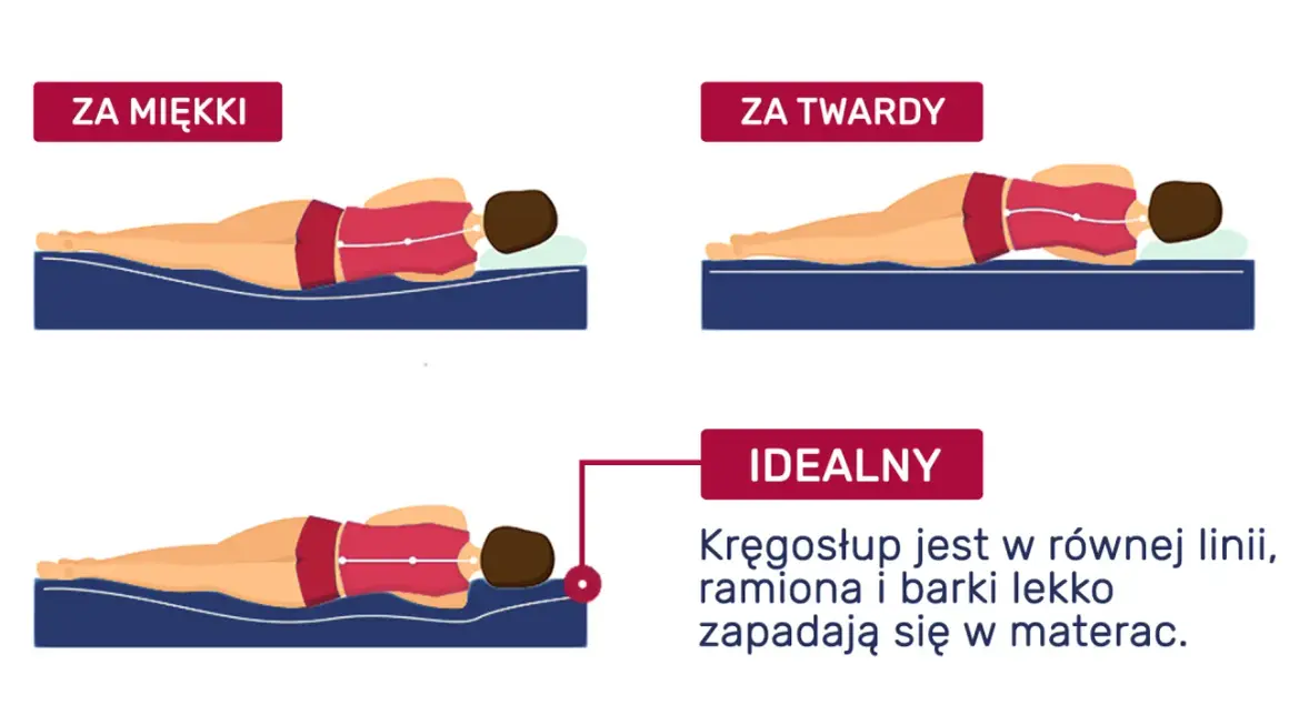 Jaki materac do spania? Ilustracja pokazuje, jak kręgosłup układa się na zbyt miękkim, zbyt twardym i idealnym materacu.